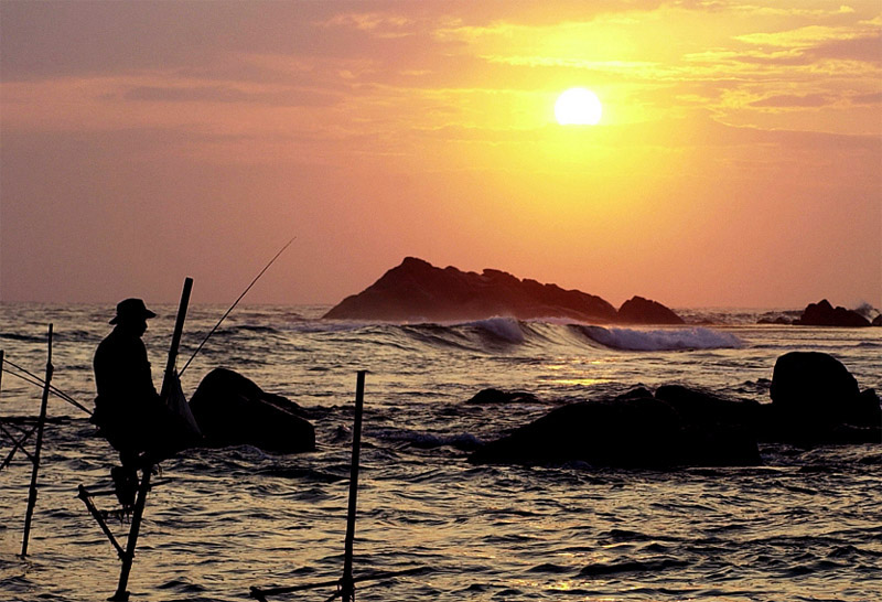 Image Dimension: 800x546 :: Beauty of Srilanka - Paradise on Earth Beauty of Srilanka - Paradise on Earth