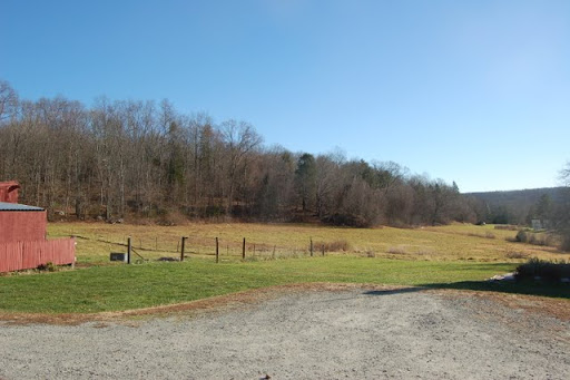 In our new home! - Homesteading Questions