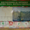 P1000288.JPG