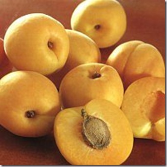 apricot oil kernels  anti ageing beauty products health