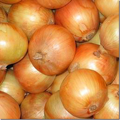 onions contamination hygiene bacteria