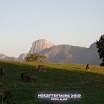 Würze_2010 (98) Kopie.jpg