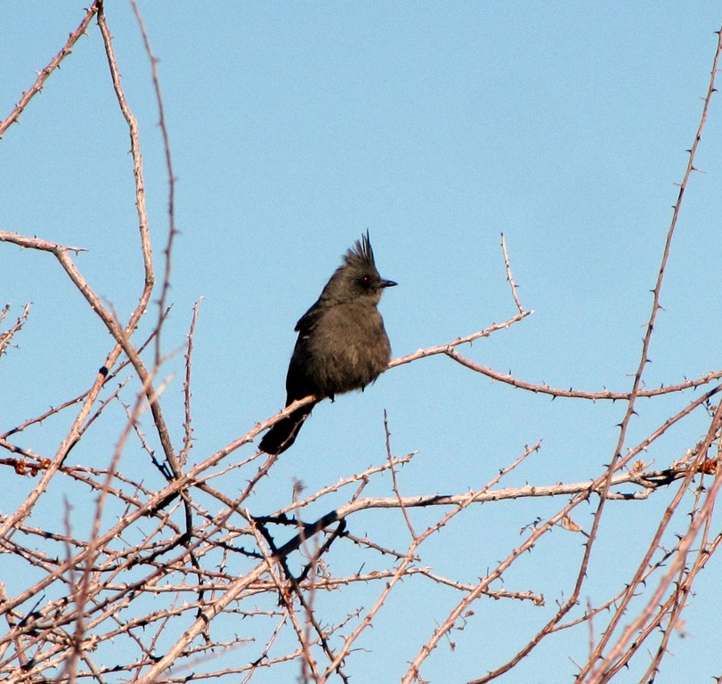 [024[5].jpg]