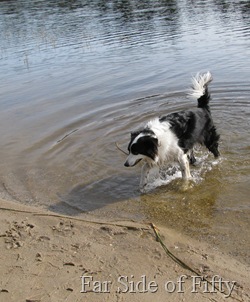 Chance and  a stick