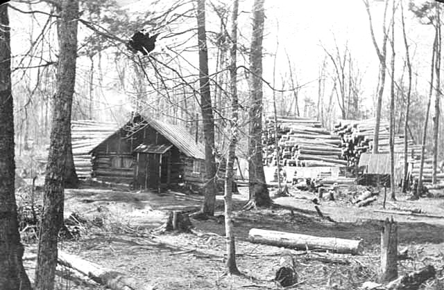 [ponsford_logging_shack[4].jpg]