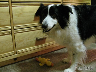 Chance this is my treat drawer