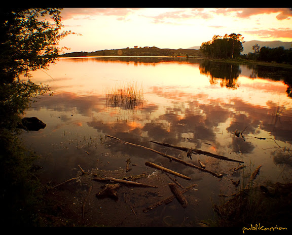 publikaccion - lago