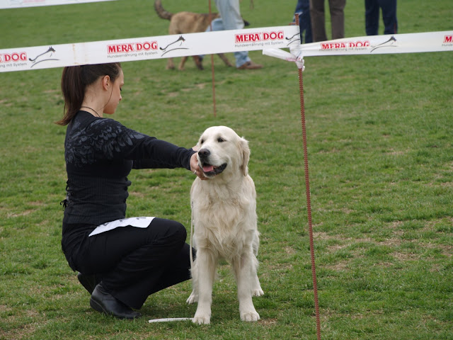 Качена снимка