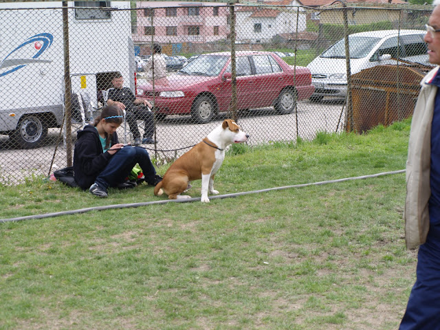 Качена снимка