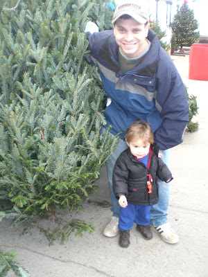 The perfect Christmas tree