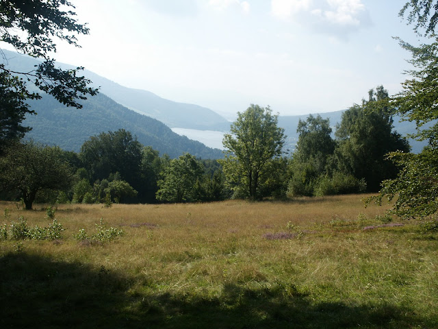 http://lh5.ggpht.com/_6Kl_mAt7IYk/TAQwnWn35aI/AAAAAAAAB9g/Z13BaomhqVk/s640/PICT5752.JPG