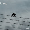 partner.jpg
