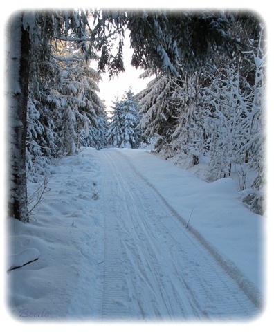 skitur