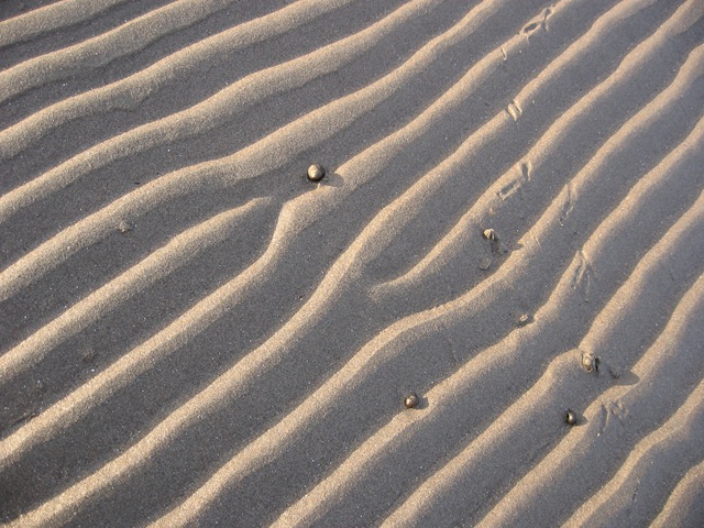 [IMG_35078.jpg]