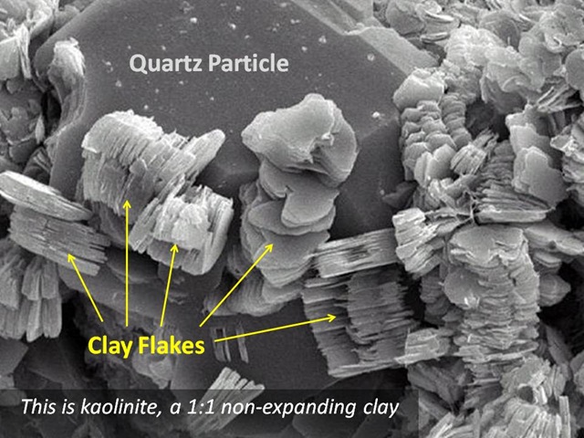 [Kao electron view[9].jpg]