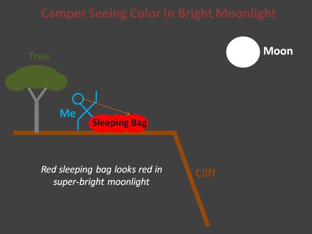 [Camper Moonlight Color[4].jpg]