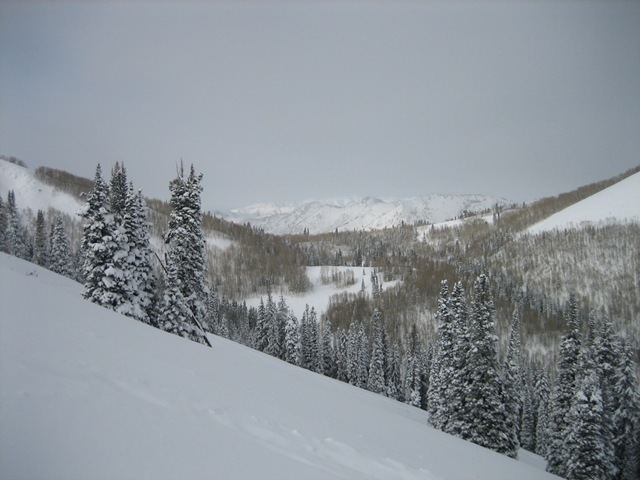 [IMG_77705.jpg]