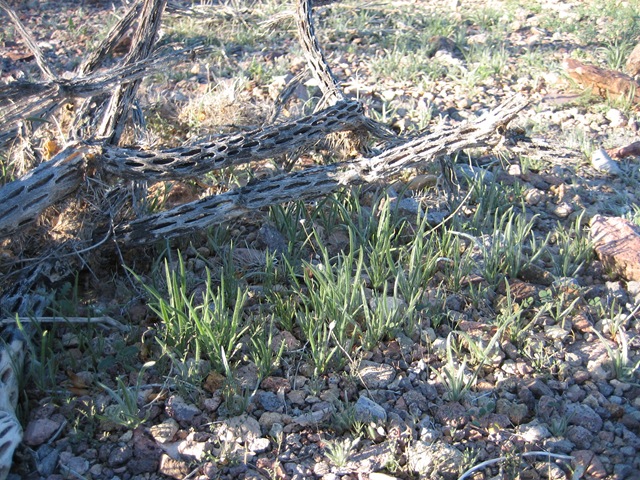 [IMG_79828.jpg]