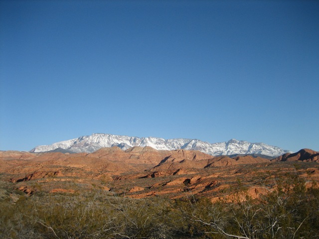 [IMG_81425.jpg]