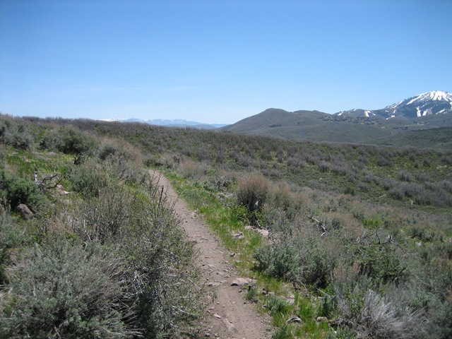 [IMG_00525.jpg]