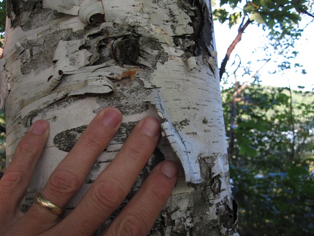 [IMG_10316.jpg]