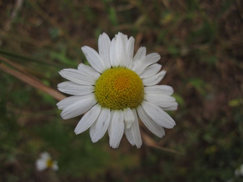 [IMG_16868.jpg]