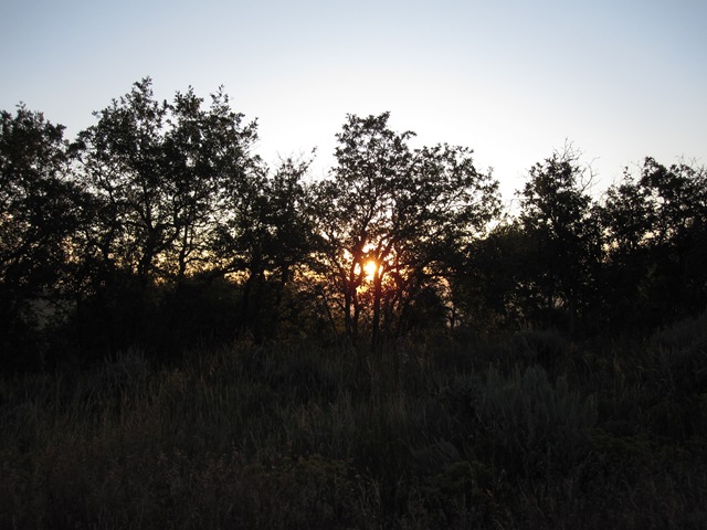 [IMG_189911.jpg]