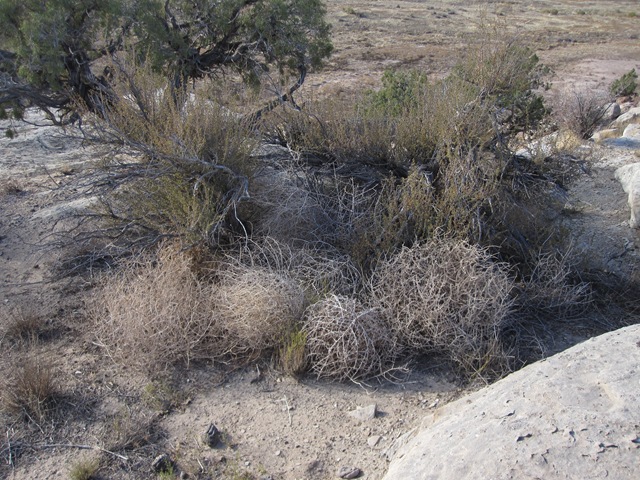 [IMG_30535.jpg]