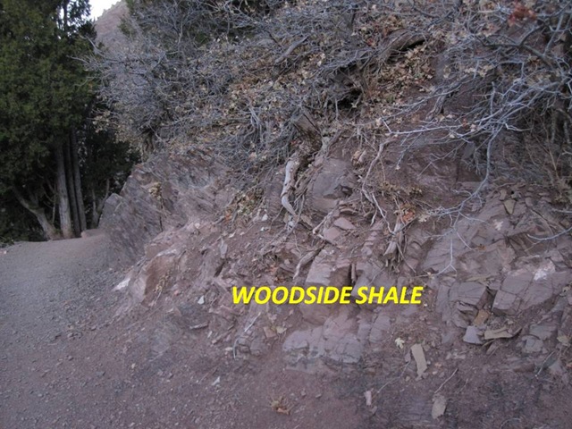 [Woodside[5].jpg]