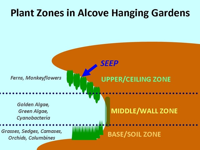 [Alcove Plant Zones Diagram[4].jpg]