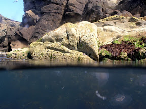 Rocks above, jellyfish below
