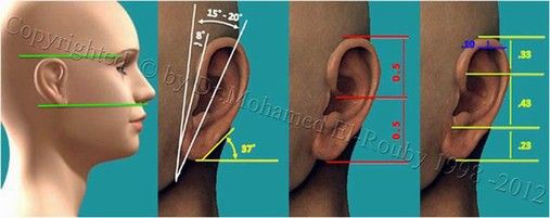 anthropometry of the ear anthropometry of the ear