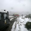 img_1269425033_958.jpg