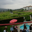img_1225661816_290.jpg