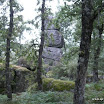img_1243183369_858.jpg
