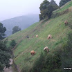 img_1243183642_627.jpg