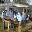img_1225926827_792.jpg