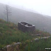img_1232149147_521.jpg