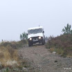 img_1232149133_613.jpg