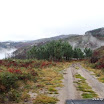 img_1243017035_615.jpg