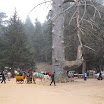 IMG_1325.JPG