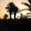 IMG_3063.JPG