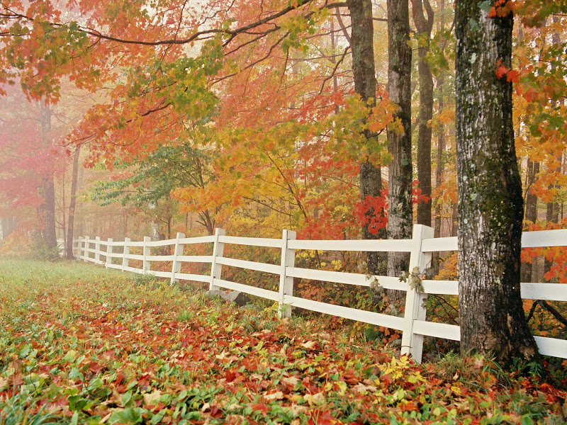 Nature wallpapers pack