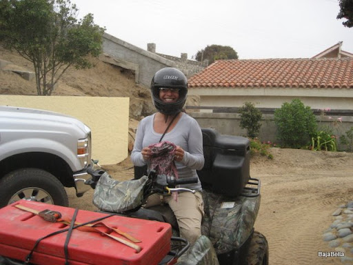 quadrin