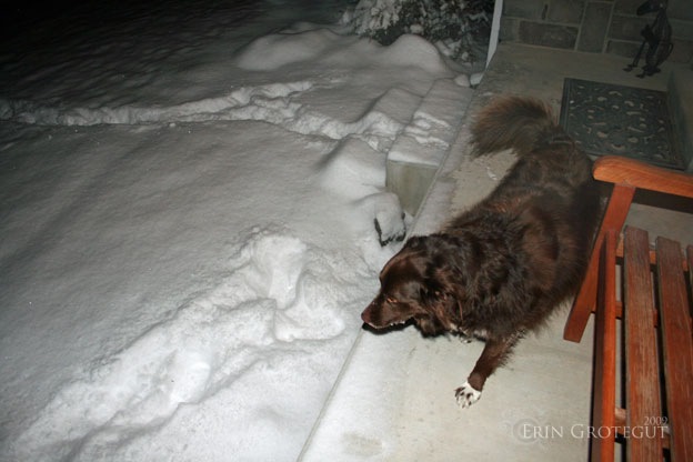 [IMG_5913editedweb[5].jpg]