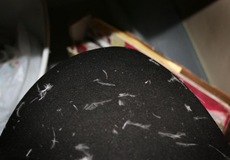 IMG_1863web IMG_1863web