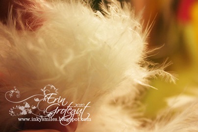 IMG_1822web IMG_1822web