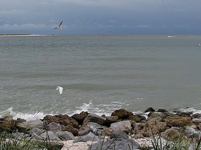 [IMG_3642[3].jpg]