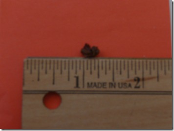 P1020326