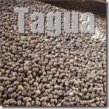 tagua